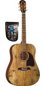 Acoustic/Elect Dreadnought Spalted Maple OG2CESM