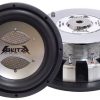 10" 1000 Watt Flat Die-Cast Subwoofer BZFW104D