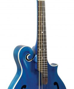 Morgan Monroe American Roots Blue F Style Mandolin MM-300BL