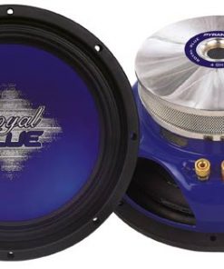 10'' 800 Watt Subwoofer PW1087