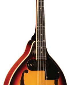 Rocky Top A Style Electric Mandolin RT-M1E