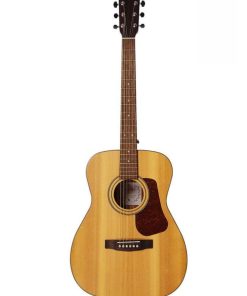 Berkeley Concert Pro Solid Spruce Top Acoustic Guitar