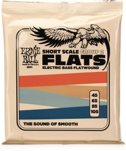 Ernie Ball 2801 Flatwound Short-scale Electric Bass Guitar Strings, .0