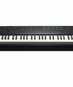 Kurzweil Ka E1 88-Key Weighted Hammer Action Digital Piano with 20 flagship Voices + Power Supply + Sustain Pedal (Black)