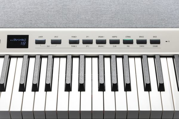 Wholesale Music Warehouse USA